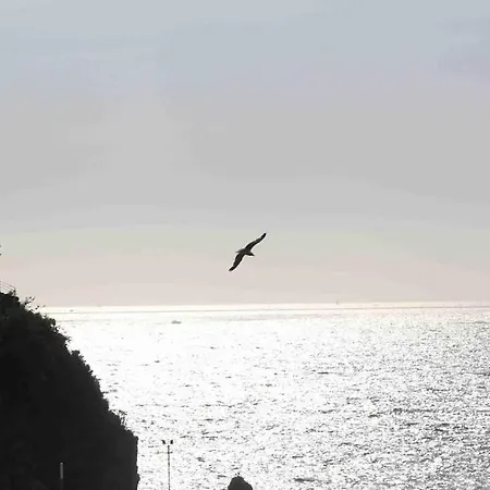 A House On Sea Like A Ship Daire *